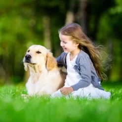 Unique Bargains Dog Muzzle With Reflective Adjustable Strap Gray 1 Pc 9 Unique Bargains Dog Muzzle With Reflective Adjustable Strap Gray 1 Pc -Halloween Costume Store GUEST 0636f91e f156 4acf b3d8 2fe4dc808f39