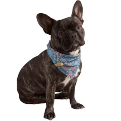 Mechaly Cotton Funny Dog Bandana With Designs Durable Birthday Pet Scarf -Halloween Costume Store GUEST 091bc1a9 13e6 422a a8aa 7ae758f253a7