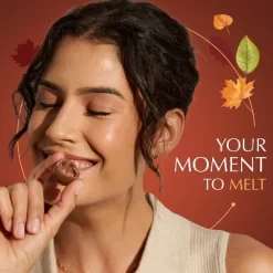 LINDOR, Lindt Fall Harvest Chocolate Pumpkin Spice Bag Candy - 5.1oz -Halloween Costume Store GUEST 0a46cbbc d66b 4edf b109 dbd7f04b6926