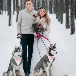 Kuoser Dog Tuxedo Dog Suit And Bandana Set, Dogs Tuxedo Wedding Party Suit, Dog Prince Wedding Bow Tie Shirt Formal Dog Wedding Attire, Gray - Small -Halloween Costume Store GUEST 0db7d1ab 2847 488f a032 b1fb1506191b