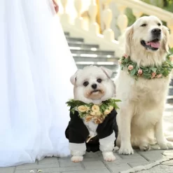 Unique Bargains Dog Tuxedo Black 1 Pc 9 Unique Bargains Dog Tuxedo Black 1 Pc -Halloween Costume Store GUEST 0df726c1 f576 48aa 961f 43ebc78ba752