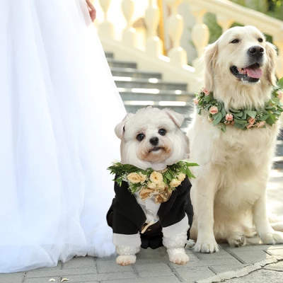 Unique Bargains Dog Tuxedo Black 1 Pc 4 Unique Bargains Dog Tuxedo Black 1 Pc - Image 4