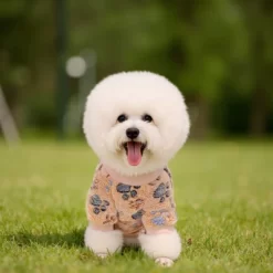 Paaaawaters Dog Fuzzy Velvet Pajamas, Dog Winter Clothes For Small Dogs Boy Girl, Pet Jumpsuit, Doggy Apparel -Halloween Costume Store GUEST 10d5c970 90df 4cf9 acec 13708b6d6ea5