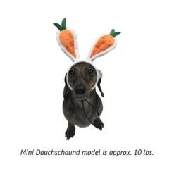 Midlee Carrot Bunny Ears Easter Dog Headband Costume -Halloween Costume Store GUEST 17f7fae9 7861 4779 a49c 653da6d7f52e