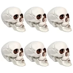 Northlight Skeleton Skull Halloween Decorations - 3.5" - Pack Of 6 -Halloween Costume Store GUEST 18d81582 859a 47fe 91ff 4fc6185679ff