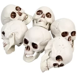 Northlight Skeleton Skull Halloween Decorations - 3.5" - Pack Of 6 -Halloween Costume Store GUEST 1be96f82 8f2e 4213 9e7b 2789a3d8c95e