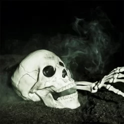 Joyfy Halloween Skeleton Decorations 7.5" Plastic Skull Human Head Bone Indoor Outdoor Decor Spooky Scene Party Favors Haunted House Graveyard Props -Halloween Costume Store GUEST 1d3e78ba 7f9b 4a29 8ec9 ad4f5d2ac7cb