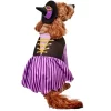 Rubies Purple Witch Pet Costume