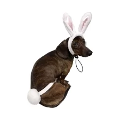Midlee White Bunny Ears For Dogs With Tail -Halloween Costume Store GUEST 3043667d 2426 4168 8155 d3aa95011008