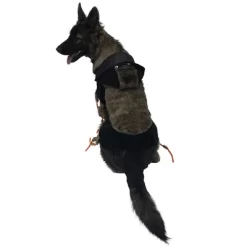 Midlee Scary Spider Costume -Halloween Costume Store GUEST 32327ab0 069f 4de4 8a5d 74d13c5e49c8