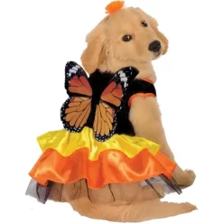 Rubies Pet Monarch Butterfly Costume -Halloween Costume Store GUEST 344d3c67 f9d4 4b02 b009 9c1330b4c14a