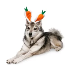 Midlee Carrot Bunny Ears Easter Dog Headband Costume -Halloween Costume Store GUEST 348f3520 7bb5 47d0 ae15 3408d668e3cf