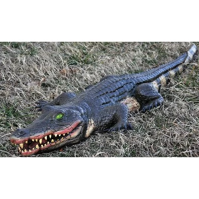 Morris Costumes Swamp Alligator Halloween Decoration - 5 In X 48 In X 14 In - Black 1 Morris Costumes Swamp Alligator Halloween Decoration - 5 In X 48 In X 14 In - Black