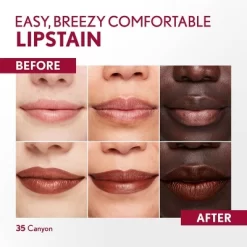 COVERGIRL Outlast Vegan Lip Stain - 0.06 Fl Oz -Halloween Costume Store GUEST 78458529 9775 4b7b 8148 21bd6927476d