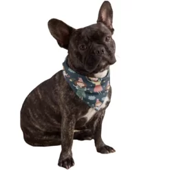 Mechaly Cotton Funny Dog Bandana With Designs Durable Birthday Pet Scarf -Halloween Costume Store GUEST 79052f20 67a2 423a bb62 1beb77930125