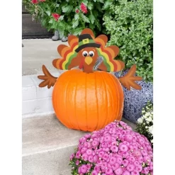 Decorae Halloween Pumpkin Decorating Kit, Turkey Set, 4 Reusable Metal Accessories For Fall Pumpkin Face Decorating W/ Turkey Body Parts -Halloween Costume Store GUEST 8529aa99 13e1 4a30 bed8 536ceb0d6f62