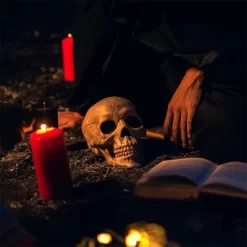 Joyfy Halloween Skeleton Decorations 7.5" Plastic Skull Human Head Bone Indoor Outdoor Decor Spooky Scene Party Favors Haunted House Graveyard Props -Halloween Costume Store GUEST 8a9af797 5378 4e07 b7cf 5bf267240fec