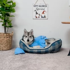 Midlee Scrubs Dog Costume (Medium) -Halloween Costume Store GUEST 8c76f48f 88c1 4c72 800e 8b21c834ab82