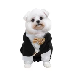 Unique Bargains Dog Tuxedo Black 1 Pc 11 Unique Bargains Dog Tuxedo Black 1 Pc -Halloween Costume Store GUEST 9a366f3d 295e 4a02 b2a4 faae34762237