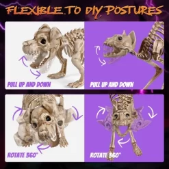 Yescom 2Pcs Poseable Dachshund Dog And 1 Pcs Cat Skeleton Life Size Pet Animal Halloween Yard Decor -Halloween Costume Store GUEST 9db9dd12 ebd5 45d4 a499 5aa921f0ccca