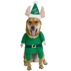 Rubies Santa's Lil Helper Pet Costume 7 Rubies Santa's Lil Helper Pet Costume -Halloween Costume Store GUEST a44f9b1a bbec 48c1 8810 adbcd899dd4b