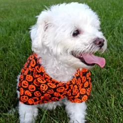 Doggie Design Halloween Jack-O-Lantern Camp Shirts -Halloween Costume Store GUEST a591e9ab c2ef 4c23 88d7 d200e5c6c627