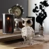 Owl Skeleton Halloween Decoration (2 Pack) - 6.5" Long - Indoor/Outdoor - Upgrade Your Fall Graveyard Haunted House Party Props, Trick-or-Treat Decor