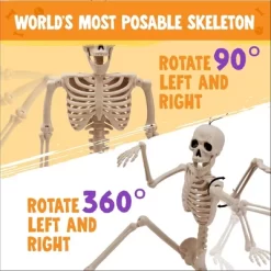 Joyfy 1/2/5/10 PCS 16" Posable Skeleton Halloween Decorative Props For Indoor/Outdoor Halloween Decorations Graveyard Haunted House Spooky Scene Party -Halloween Costume Store GUEST bba562d5 7ab7 4b9a a20a 62818ed0b9f3