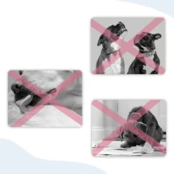 Unique Bargains Dog Muzzle Black 1 Pc -Halloween Costume Store GUEST bdf07688 a6d8 4e40 b2bc 199aa1a6c617