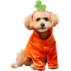 Rubies Carrot Cutie Pet Costume 7 Rubies Carrot Cutie Pet Costume -Halloween Costume Store GUEST bf53dae3 6ce3 493f abb9 b3a01abcd4e3