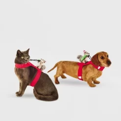 Santa Squirrel Rider Dog And Cat Costume - Wondershop™ -Halloween Costume Store GUEST c17eac2a 82ec 4c08 80e2 b024878abbd3