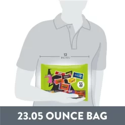 HERSHEY'S Chocolate Assorted Halloween Candy Miniatures - 23.05oz/55pc -Halloween Costume Store GUEST c1e908a2 2164 41b8 973c 6a63759bce0d