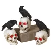 Gerson 8 In. Prelit Skull With Crow Halloween Decor (Pack Of 12)