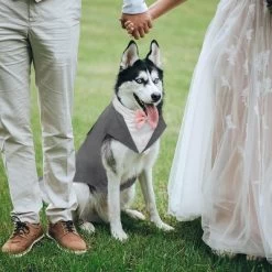 Kuoser Dog Tuxedo Dog Suit And Bandana Set, Dogs Tuxedo Wedding Party Suit, Dog Prince Wedding Bow Tie Shirt Formal Dog Wedding Attire, Gray - Medium -Halloween Costume Store GUEST cd82af5c 0508 49af 8ca5 0c79443b8229