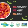YumEarth Halloween Organic Gummy Fruits Candy - 10oz/20ct