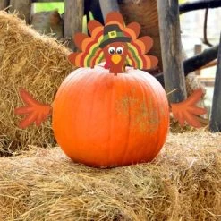 Decorae Halloween Pumpkin Decorating Kit, Turkey Set, 4 Reusable Metal Accessories For Fall Pumpkin Face Decorating W/ Turkey Body Parts -Halloween Costume Store GUEST e12b976c 4336 447a 8b0d 208eb41b3e41