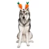 Midlee Carrot Bunny Ears Easter Dog Headband Costume