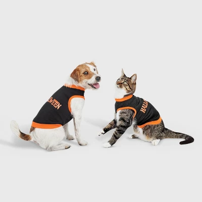Halloween Dog And Cat Sweatshirt - Hyde And EEK! Boutique™ 3 Halloween Dog And Cat Sweatshirt - Hyde And EEK! Boutique™ - Image 3