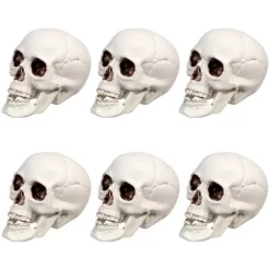 Northlight Skeleton Skull Halloween Decorations - 3.5" - Pack Of 6 -Halloween Costume Store GUEST e5a1e57a 2746 4249 8313 c07114e9de93