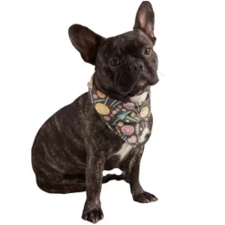 Mechaly Cotton Funny Dog Bandana With Designs Durable Birthday Pet Scarf -Halloween Costume Store GUEST e78cb46f bb90 44f4 ba2a ef72996b6e33