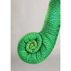 HalloweenCostumes.com Men's Disney Tangled Pascal Halloween Costume | Adult Chameleon Themed Outfit -Halloween Costume Store GUEST ee16f4a4 d123 43ac ab5c dd16f739e22a