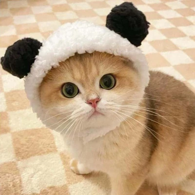 1 Or 2pcs Cute Cat Costume Warm Bear Hats For Cat Adjustable Soft Small Pet Headwear Bear Hat For Cat Puppy Dog Holiday Christmas Halloween 2 1 Or 2pcs Cute Cat Costume Warm Bear Hats For Cat Adjustable Soft Small Pet Headwear Bear Hat For Cat Puppy Dog Holiday Christmas Halloween - Image 2