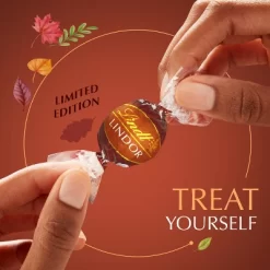 LINDOR, Lindt Fall Harvest Chocolate Pumpkin Spice Bag Candy - 5.1oz -Halloween Costume Store GUEST f3e897a8 8297 43ed b984 c5e3508a472b