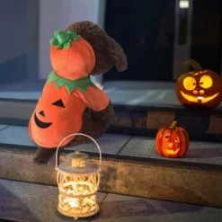 Dog Hoodie Cute Funny Halloween Style Pumpkin Cosplay Costume Warm Puppy Fleece Clothes 12 Dog Hoodie Cute Funny Halloween Style Pumpkin Cosplay Costume Warm Puppy Fleece Clothes -Halloween Costume Store GUEST f843a11e 0f39 49d9 a80f 51161b989866