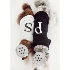 Midlee Salt & Pepper Dog Costume (Salt, X-Large) -Halloween Costume Store GUEST fc724ae8 b505 4746 b04b 665e24360696